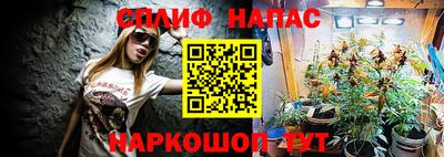 apvp Рыбинск